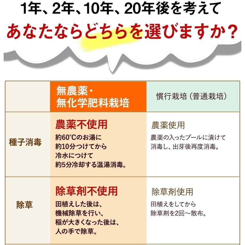 無農薬 玄米 米 2kg 無農薬 つや姫 令和5年宮城県産 新米入荷 送料無料 無農薬・無化学肥料栽培