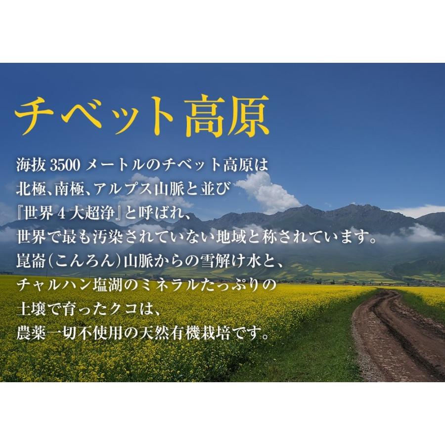 クコの実 有機JAS認証 クコの実 100g オーガニック ナトゥリー ゴジベリー 枸杞の実