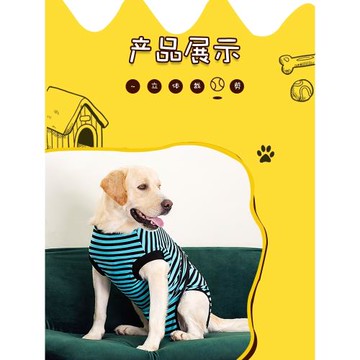 寵物狗狗生理褲全包裹母狗防騷擾避孕衛生姨媽褲公狗絕育術護理服