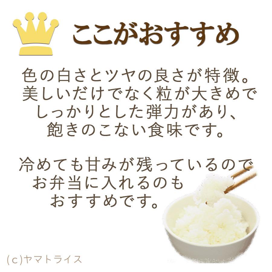 福井県産 いちほまれ 白米 5kg 令和4年産