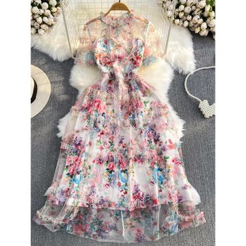 高級感輕奢氣質短袖圓領收腰顯瘦a字網紗印花連衣裙優雅禮服長裙