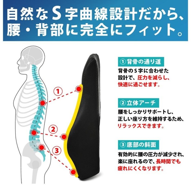 背骨 クッション コレクション