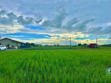 ★路竹★稀有雙面臨路漂亮農地.0910579121｜高雄市路竹區社東段
