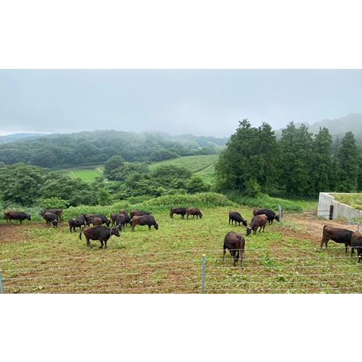 ふるさと納税 岡山県 井原市 肩ローススライス約500g