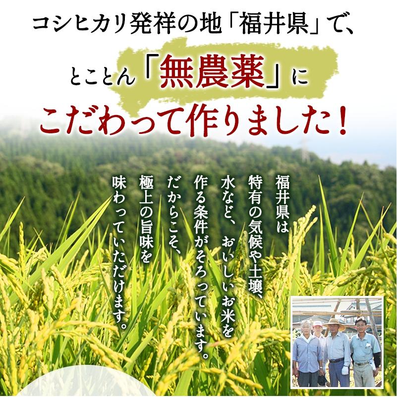 無農薬 玄米 米 10kg(5kg×2）無農薬 にこまる 令和5年福井県産 新米入荷 送料無料 無農薬・無化学肥料栽培