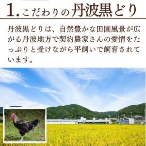 ふるさと納税 地鶏 丹波黒どり 手羽元 4kg＜京都亀岡丹波山本＞500g ×8パック 冷凍限定《特別返礼品 鶏肉 小分け》 京都府亀岡市