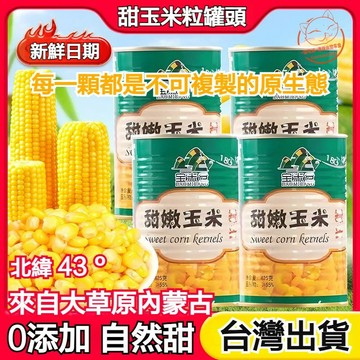 【即食代餐】內蒙古玉米 甜嫩玉米罐頭 甜玉米粒 黃金甜玉米粒 罐頭食品 軟糯香甜清甜玉米粒 全素玉米
