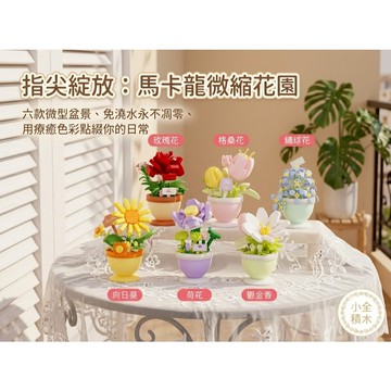 【小全積木】療癒花卉盆栽積木 仿真永生植物花束 辦公桌上班族舒壓 閨蜜女生生日禮物 居家美學桌面擺飾 台灣賣家