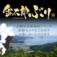 宮崎産 新海屋 鰤屋金太郎 金太郎ぶり 丸ごと 1尾 約4kg以上　C214