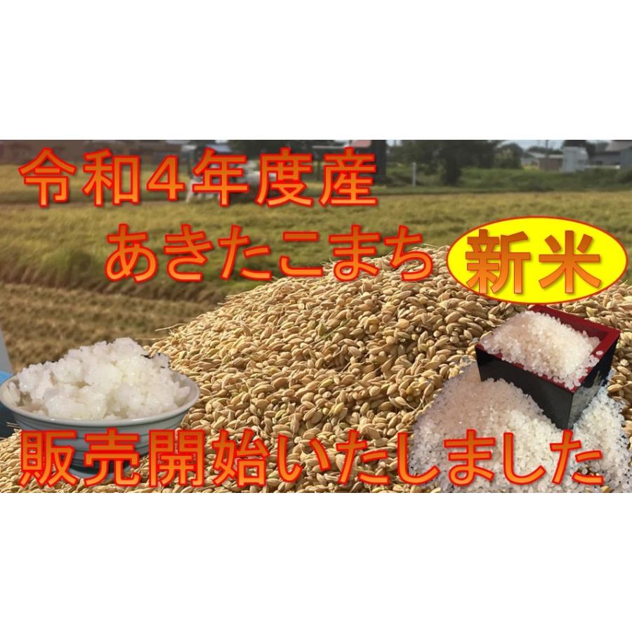 米 10kg 白米 大仙 大曲 秋田県産 新米   あきたこまち 令和5年度産 10kg