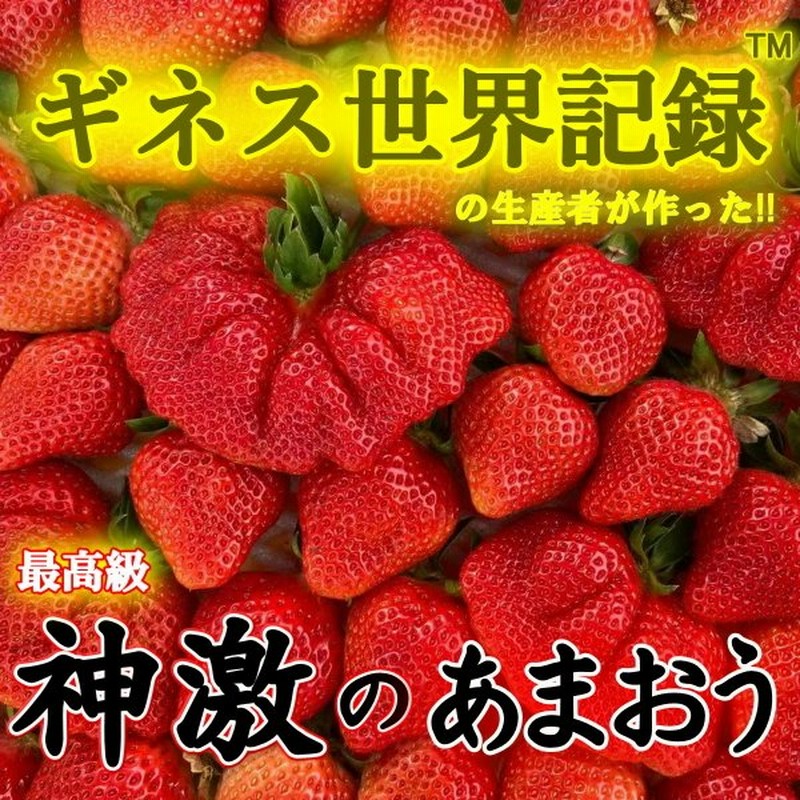 いちご イチゴ 苺 贈り物 お礼 果物 送料無料 ギフト 旬 フルーツ 1箱 2パック 高級 神激のあまおう 贈答品 お祝い プレゼント 通販 Lineポイント最大0 5 Get Lineショッピング