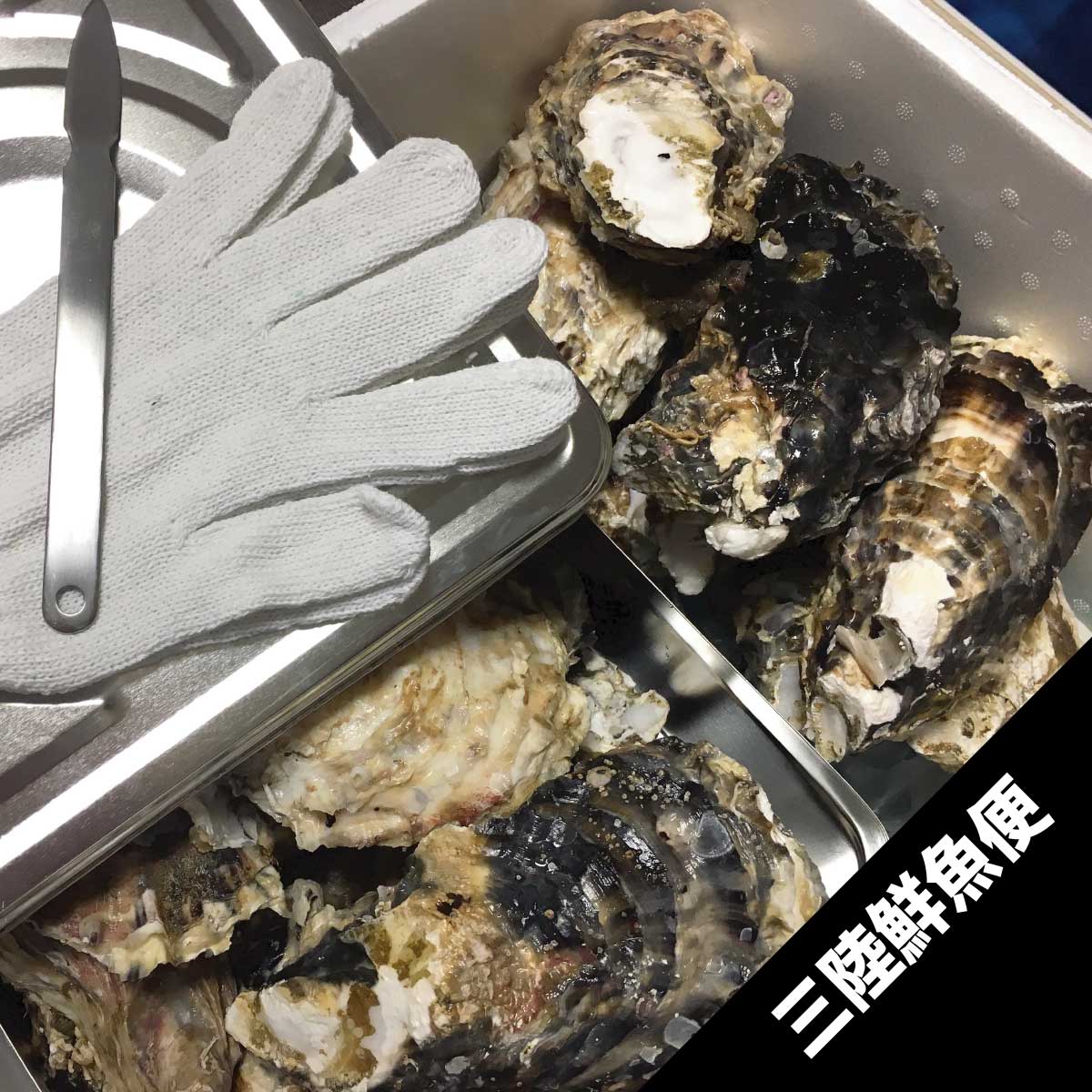 生食用三陸殻付き特大牡蠣蒸し缶付き10個