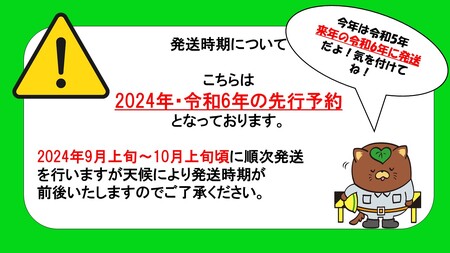 ご家庭用シャインマスカット　2㎏　「訳あり」