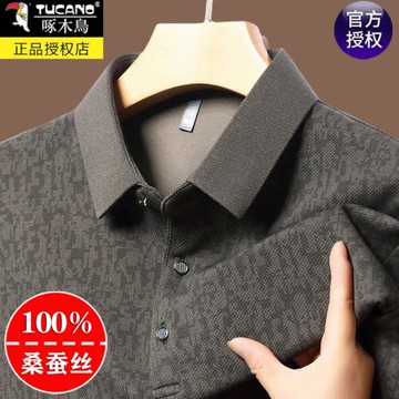 啄木鳥男士長袖t恤2024秋季新款免燙翻領休閑薄款打底POLO衫上衣