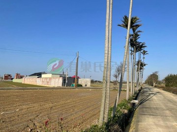 新屋新湖路/臨路農地｜桃園市新屋區大坡