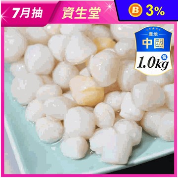 【盅龐水產】熟凍小干貝 1KG/包(200-300顆)