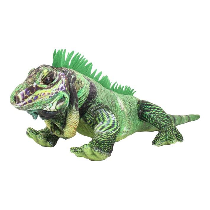 Amazon.co.jp: Safari Ltd. ワイルドグラフィ(Wild Graphy) 太洋
