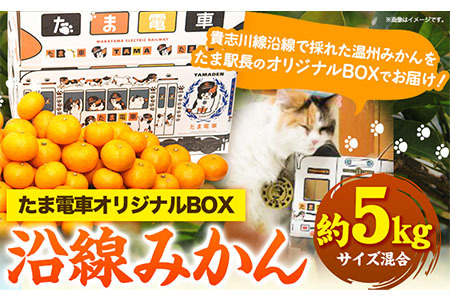 沿線みかん 約5kg 和歌山電鐵株式会社《10月下旬-2024年1月上旬頃より発送予定》和歌山県 紀の川市 フルーツ 果物 みかん 柑橘
