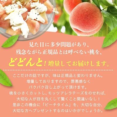 ふるさと納税 山梨市 桃5〜9玉2kg以上　2024年6月中旬より順次出荷予定