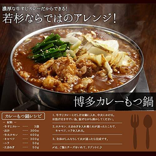 博多若杉 カレーセット 牛すじカレー レトルトカレー まとめ買いセット 200g 12パック 中辛 (牛すじカレー)