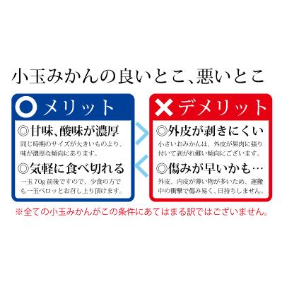 愛媛県産 小玉 愛媛みかん ２kg