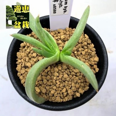 r400