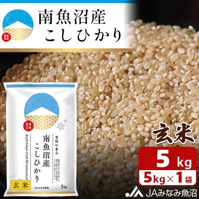 ふるさと納税 南魚沼市 「南魚沼産こしひかり」玄米 5kg