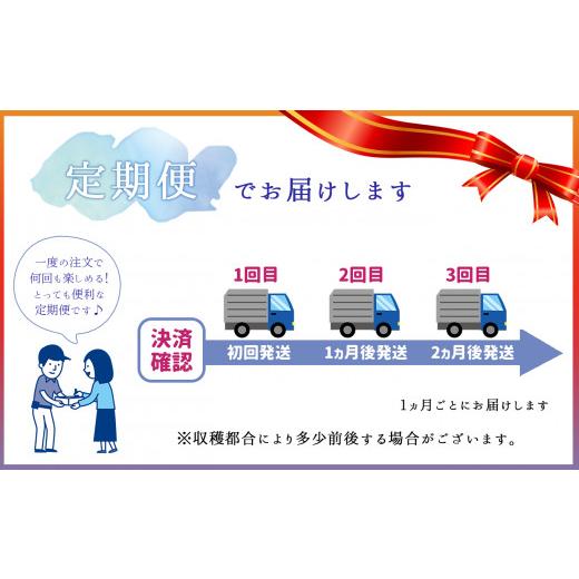 ふるさと納税 熊本県 玉名市  熊本たまな産 イチゴ 恋みのり 約1000g （250g×4パック）