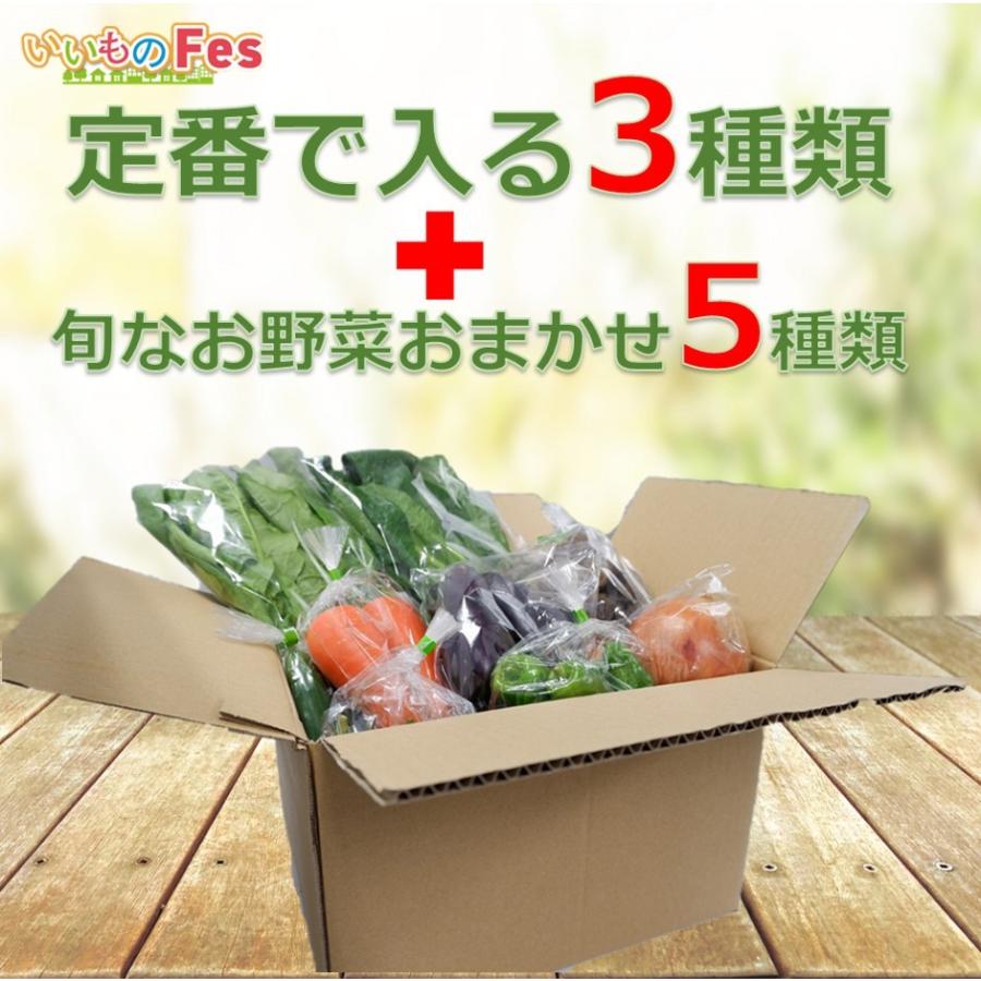 奈良野菜８種セット 奈良県産