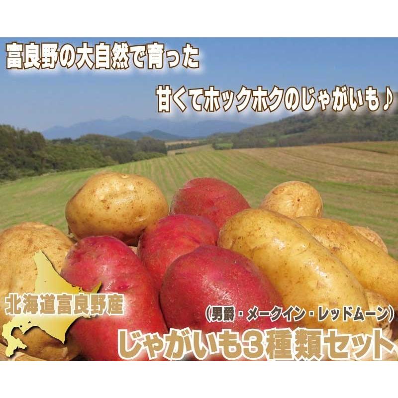 じゃがいも　北海道　３種類のじゃがいも詰合せ　１０ｋｇ　送料無料