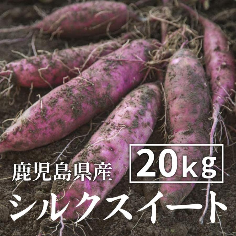 さつまいも シルクスイート 20kg （土付き・大小サイズ混在） 鹿児島県産 2023年産