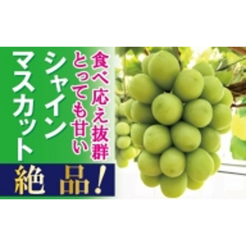 ZZ-12 【贈答用】 岡山のあま～い「シャインマスカット」約2kg（2～5房