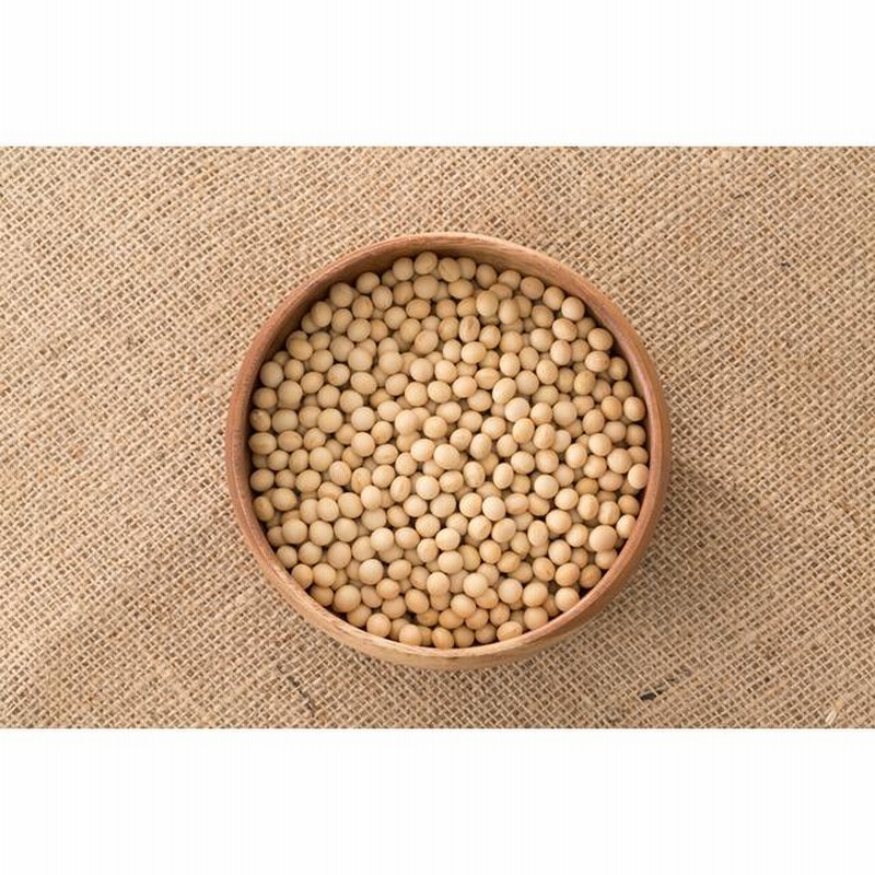 乾燥大豆　10キロ 大豆 10kg 豆力 契約栽培 北海道産 だいず 国産 乾燥豆 国内産