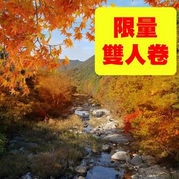 清艙買一送一~秋季限量破盤下殺↘清易賞楓趣~(不進人蔘、護肝、土產)繽紛愛寶、俗離山、法住寺、松島水上計程車、景福宮、森林系網紅咖啡廳五日