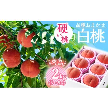 ふるさと納税 有機肥料栽培 硬めの 白桃 2kg（5〜9玉） 秀品 品種おまかせ 山形産 2024年産 令和6年産 山形県産【2024年8月下旬頃〜10月上旬頃.. 山形県寒河江市