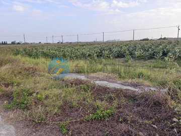 獨家●將軍區「前後有路」3分農地(有獨立電錶)｜台南市將軍區巷口段二小段