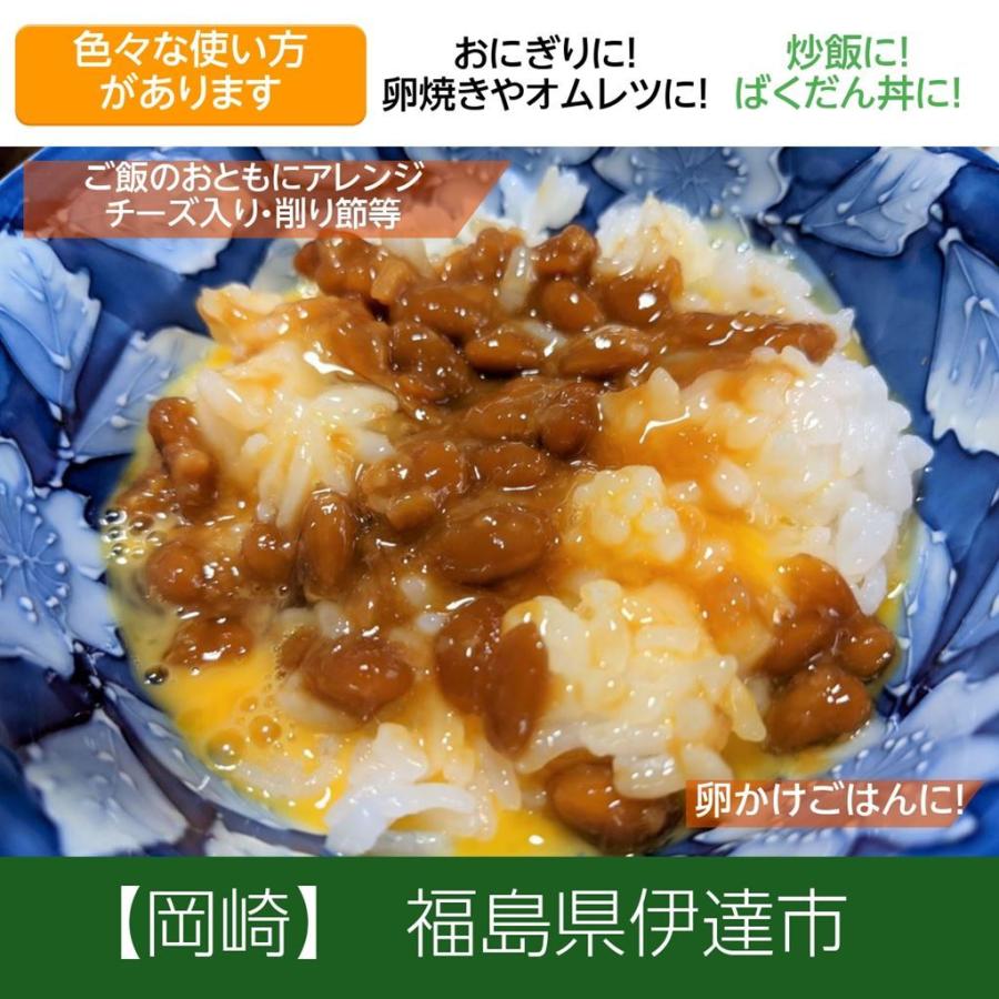 納豆  納豆麹漬け 200g 5種類セット 福島県産の麹 ポスト投函 チューブタイプ