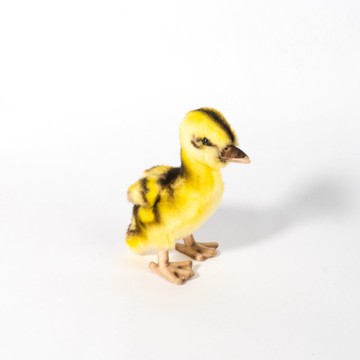 Hansa 8666-綠頭鴨站姿 14公分