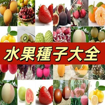 嘉儀現貨（22款水果種籽）#藍莓#蘋果#櫻桃#百香果#草莓#西瓜#哈密瓜#甜瓜#無花果#火龍果#姑娘果#芭樂#柿子#釋迦