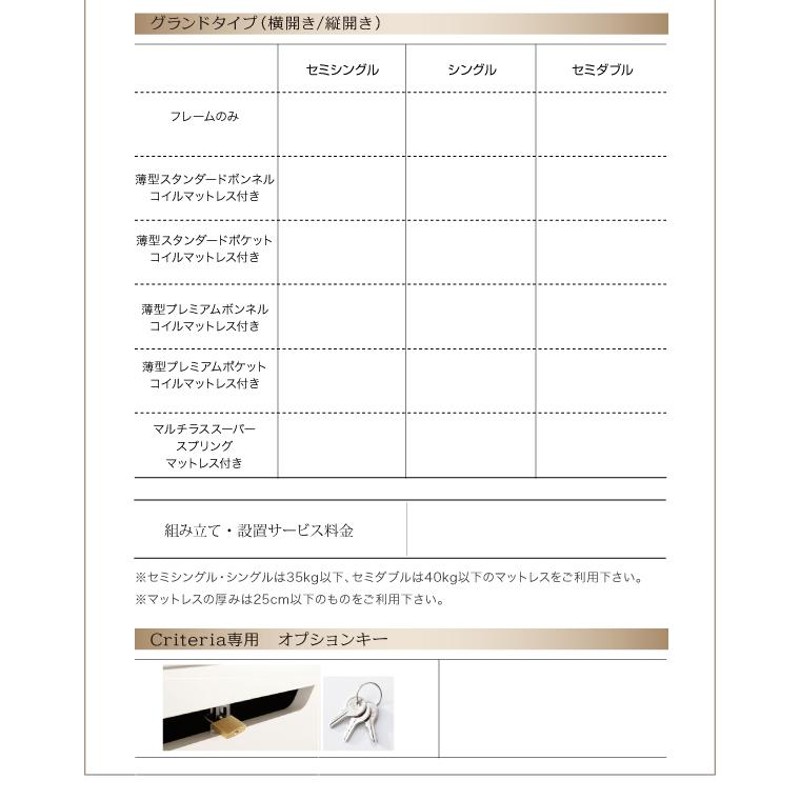 組立設置料込み〕跳ね上げ収納ベッド 〔クリテリア〕 〔薄型