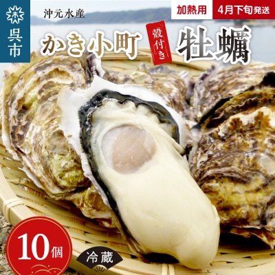 沖元水産 かき小町 殻付き 牡蠣 10個 牡蠣ナイフ、レシピ付 加熱用