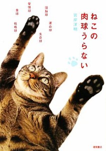  ねこの肉球うらない／宮岸洋明