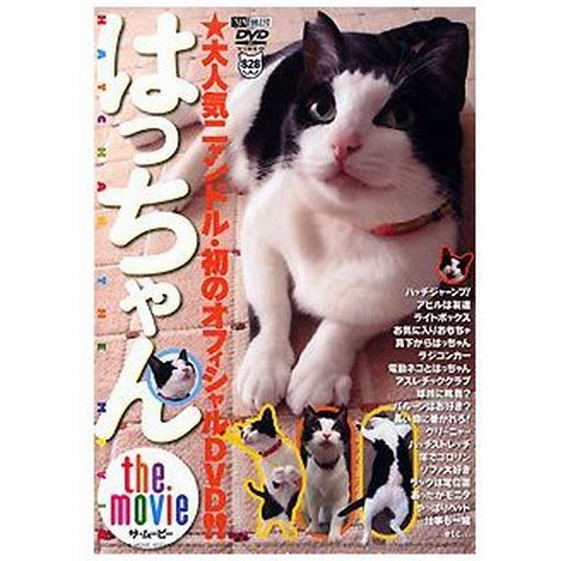 はっちゃん The Movie 人気アイドル猫 初dvd シンフォレスト Sda57 通販 Lineポイント最大0 5 Get Lineショッピング