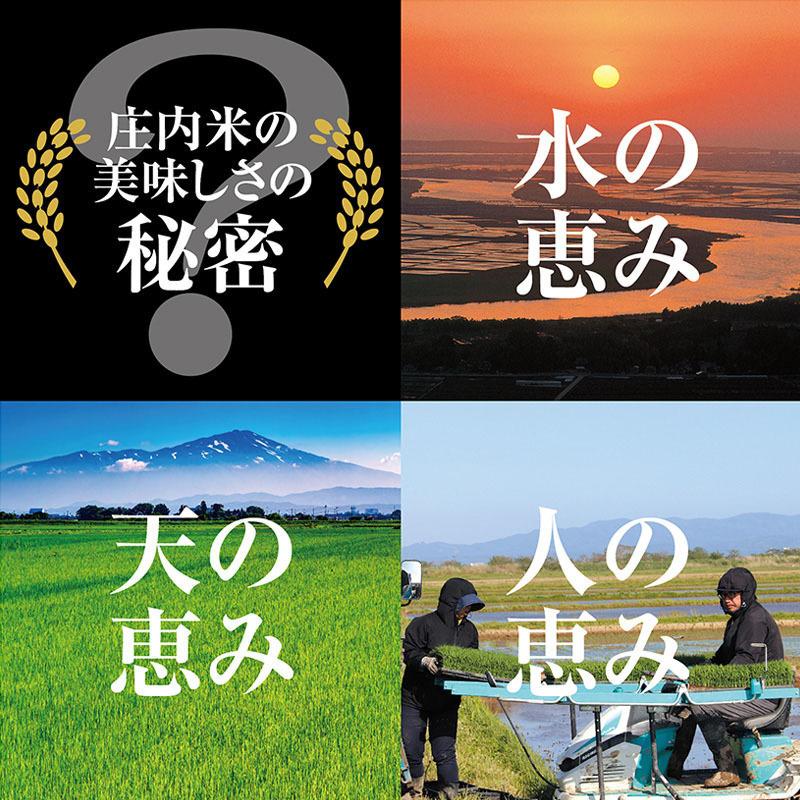 令和５年産 はえぬき５kg  山形県の米どころ庄内平野で育った庄内米 送料無料