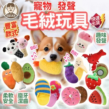 發聲毛絨玩具【布萊恩👨🏻隔日到貨】寵物發聲玩具 絨毛玩具 狗狗玩具 寵物玩具 貓狗玩具 寵物用品 啃咬娃娃玩偶 耐咬玩具