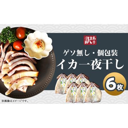 ふるさと納税 H7-64個包装 イカ一夜干し 6枚 新潟県長岡市