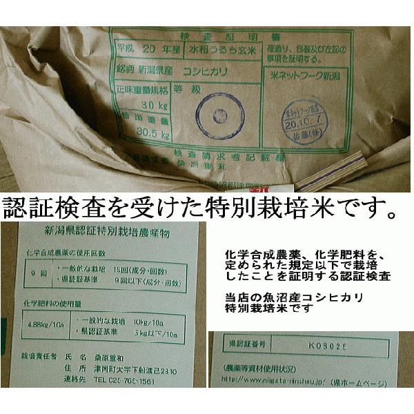 新米 1kg 2023年 令和5年 魚沼産コシヒカリ 白米 特別栽培米