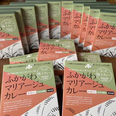 ふるさと納税 深川市 ふかがわマリアージュカレー 15個入り