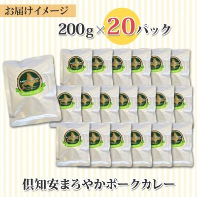 ふるさと納税 倶知安町 倶知安野菜のまろやかポークカレー 中辛 200g×20個