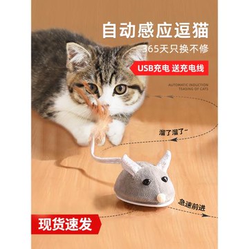 貓玩具電動小老鼠自嗨解悶神器自動感應仿真逗貓棒寵物幼貓咪用品